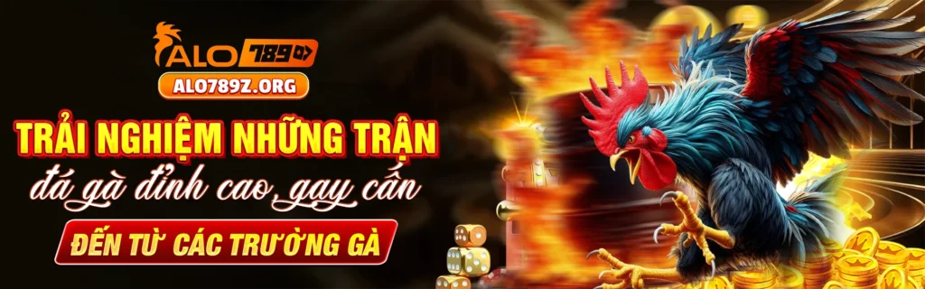 alo789 trải nghiệm những trận đá gà đỉnh cao banner