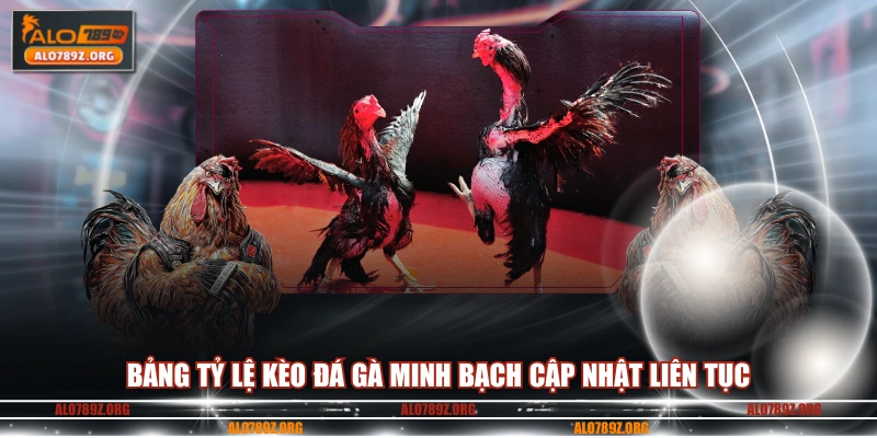 Bảng tỷ lệ kèo đá gà minh bạch cập nhật liên tục