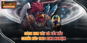 Cách Xem Vảy Gà Tốt Xấu