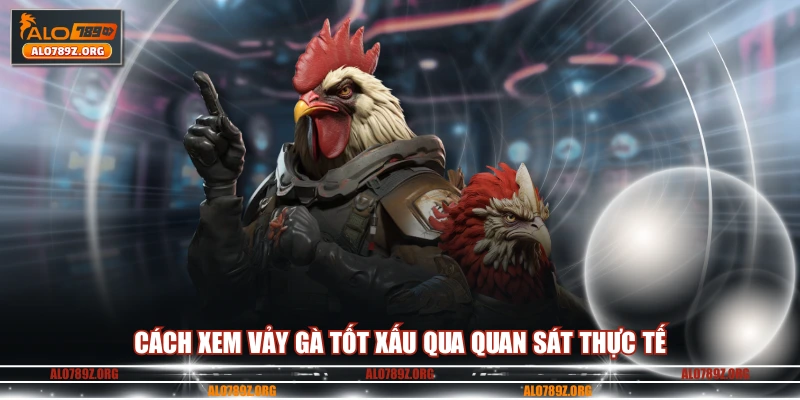 Cách xem vảy gà tốt xấu qua quan sát thực tế