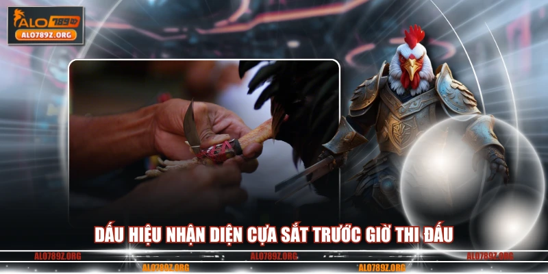 Dấu hiệu nhận diện cựa sắt trước giờ thi đấu