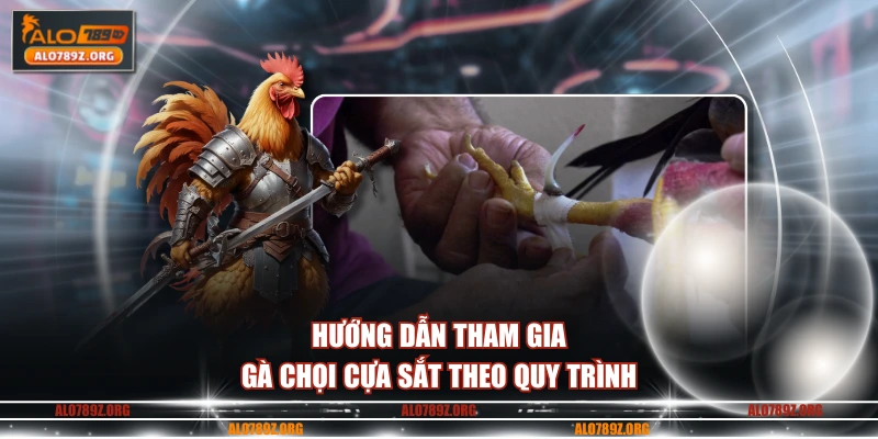 Hướng dẫn tham gia gà chọi cựa sắt theo quy trình