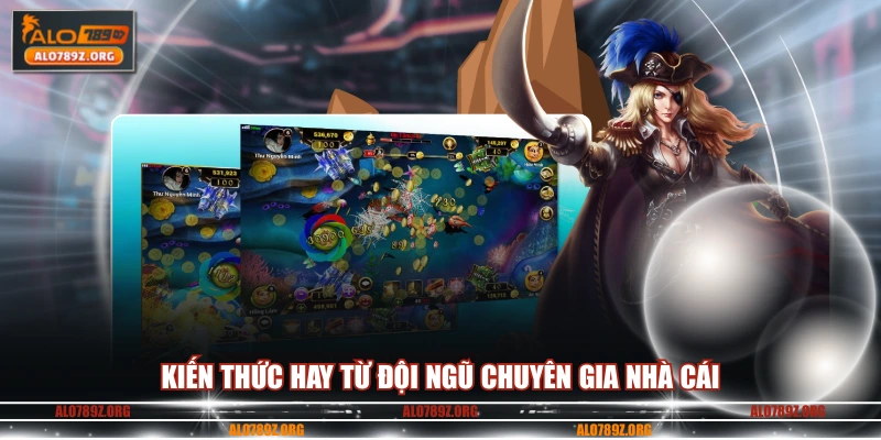 Kiến thức hay từ đội ngũ chuyên gia nhà cái