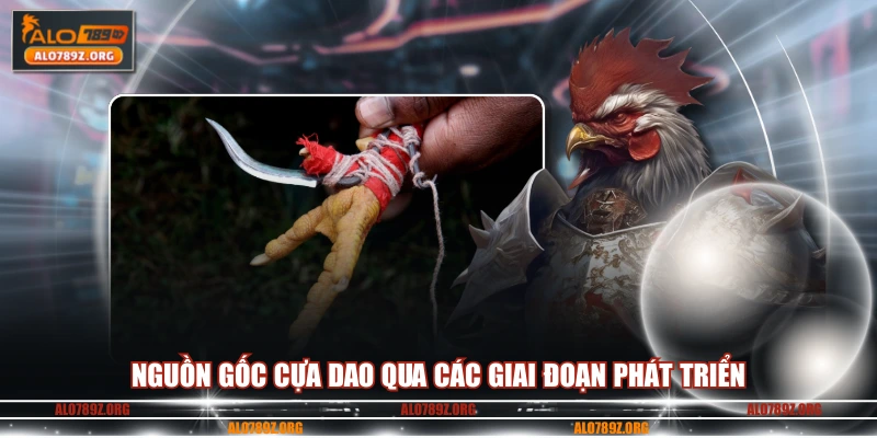 Nguồn gốc cựa dao qua các giai đoạn phát triển