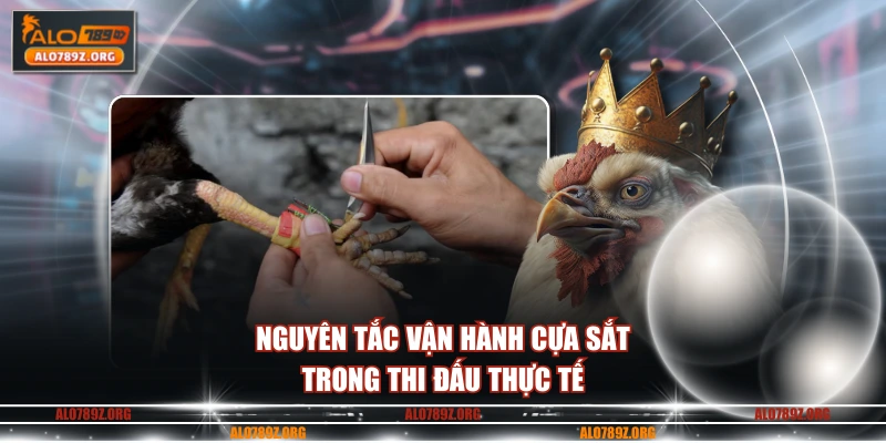 Nguyên tắc vận hành cựa sắt trong thi đấu thực tế