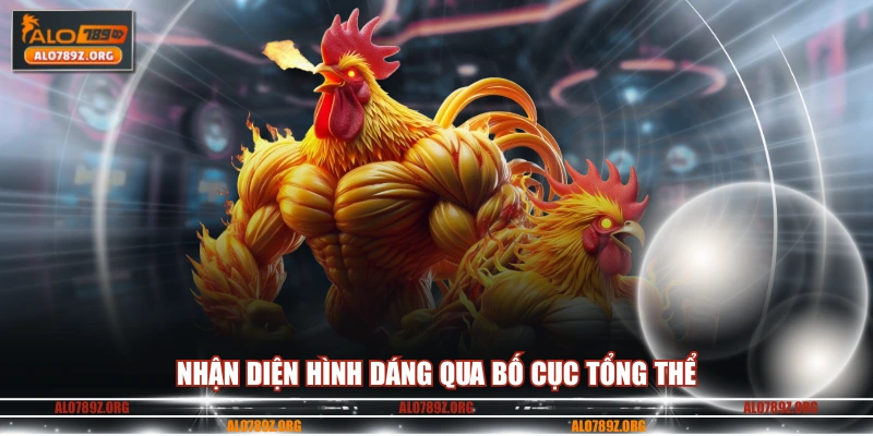 Nhận diện hình dáng qua bố cục tổng thể