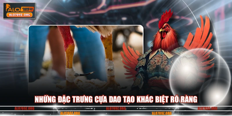 Những đặc trưng cựa dao tạo khác biệt rõ ràng