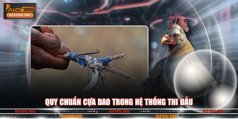 Quy chuẩn cựa dao trong hệ thống thi đấu
